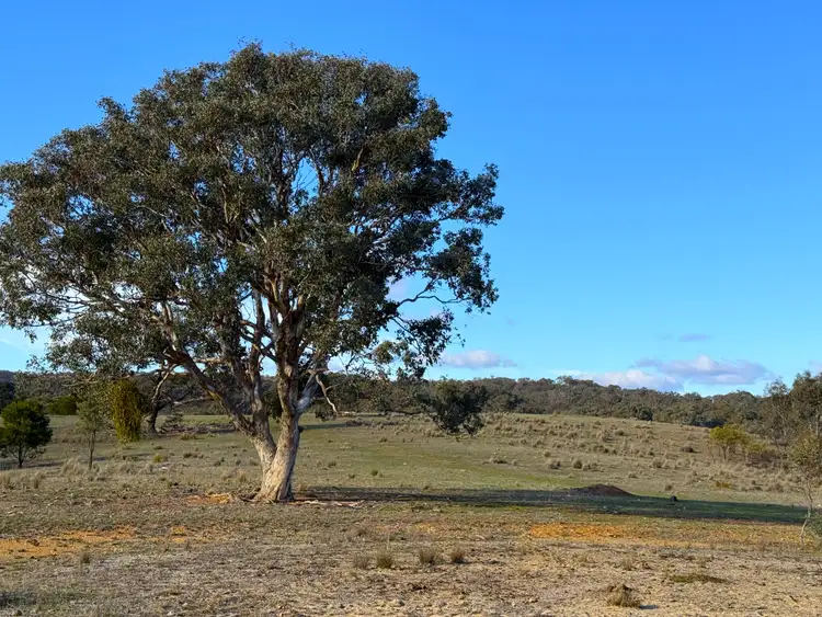 Fourth view of Homely rural property listing, 127a Corregans Road, Yass NSW 2582