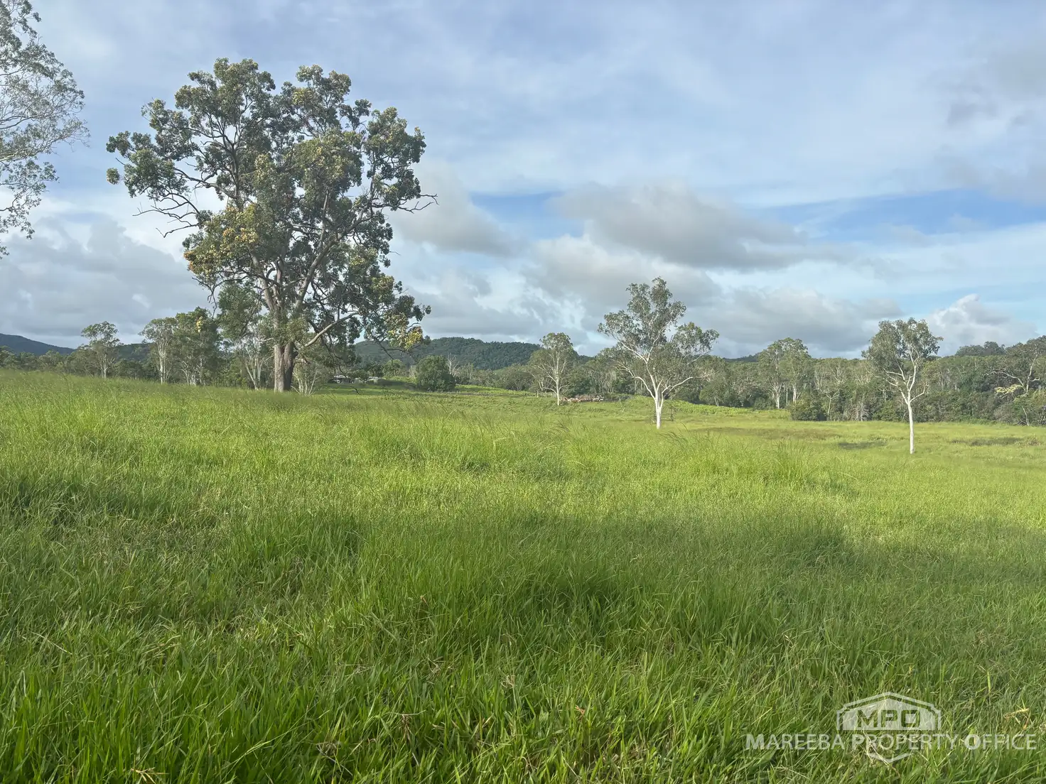 Main view of Homely rural property listing, 1107 Euluma Creek Road, Julatten QLD 4871