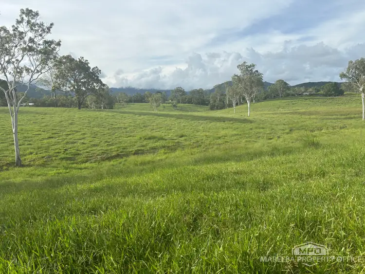 Third view of Homely rural property listing, 1107 Euluma Creek Road, Julatten QLD 4871