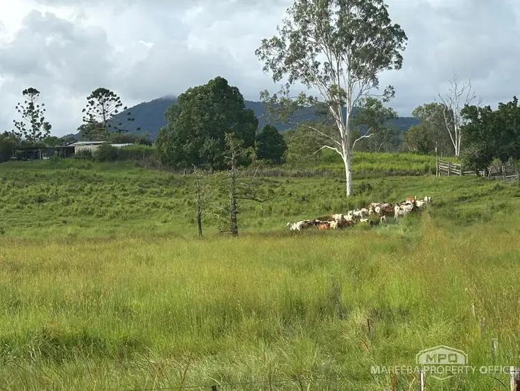 Fourth view of Homely rural property listing, 1107 Euluma Creek Road, Julatten QLD 4871