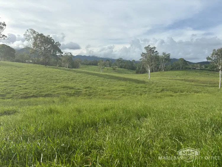 Sixth view of Homely rural property listing, 1107 Euluma Creek Road, Julatten QLD 4871