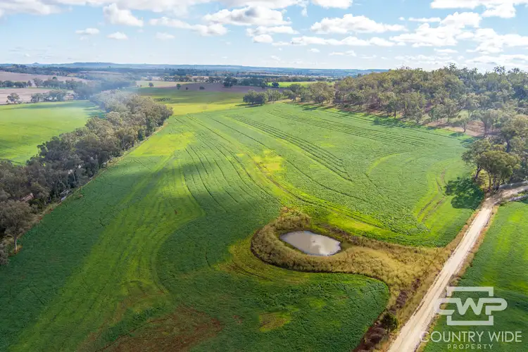 Third view of Homely rural property listing, 1036 Rob Roy Road, Inverell NSW 2360