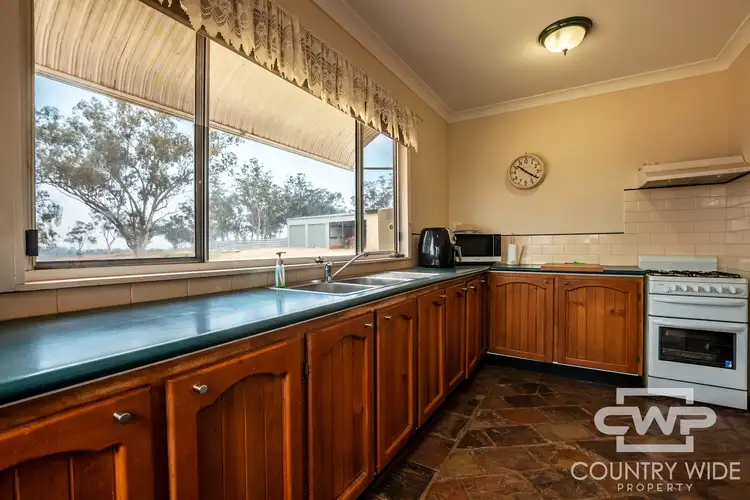 Seventh view of Homely rural property listing, 1036 Rob Roy Road, Inverell NSW 2360