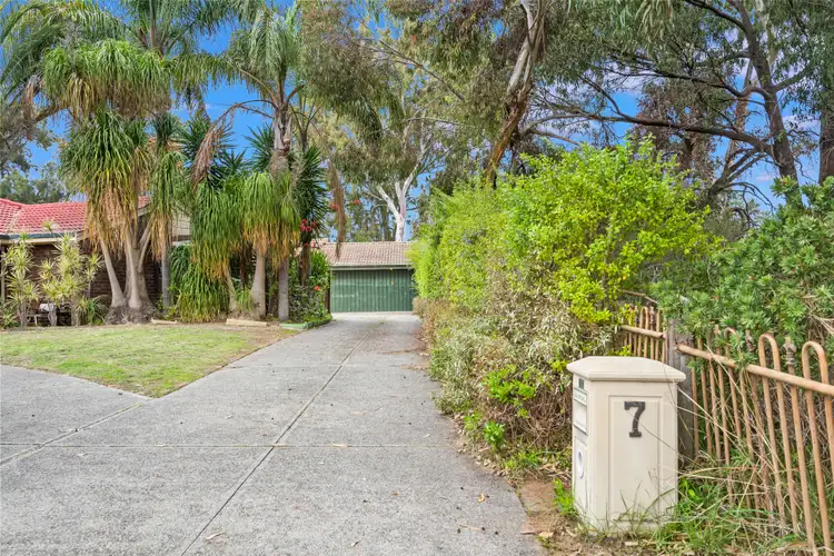 Third view of Homely house listing, 7 Ivy Close, Ballajura WA 6066