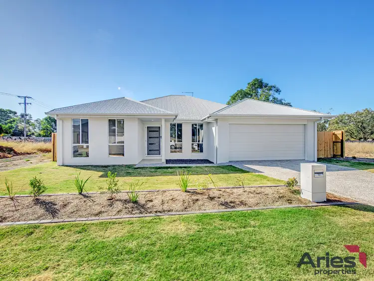 Main view of Homely house listing, 19 O'Rourke St, Redbank Plains QLD 4301