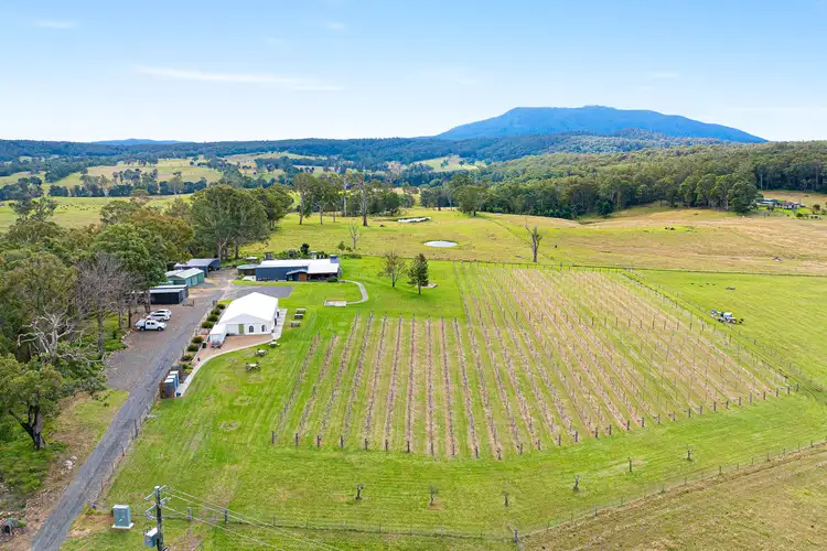 Third view of Homely rural property listing, 874 Cobargo Bermagui Road, Coolagolite NSW 2550