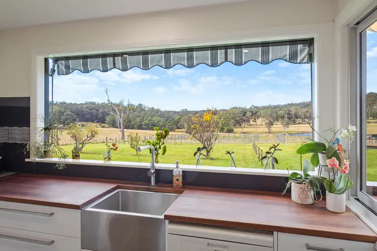 Sixth view of Homely rural property listing, 874 Cobargo Bermagui Road, Coolagolite NSW 2550