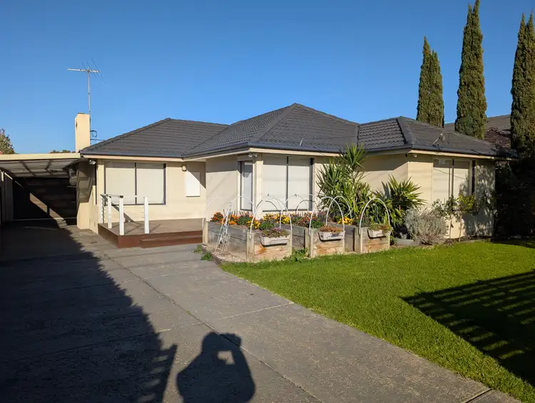 41 Charmaine Avenue, Avondale Heights VIC 3034