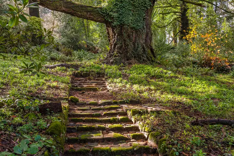 Second view of Homely house listing, 114 Devonshire Lane, Mount Macedon VIC 3441