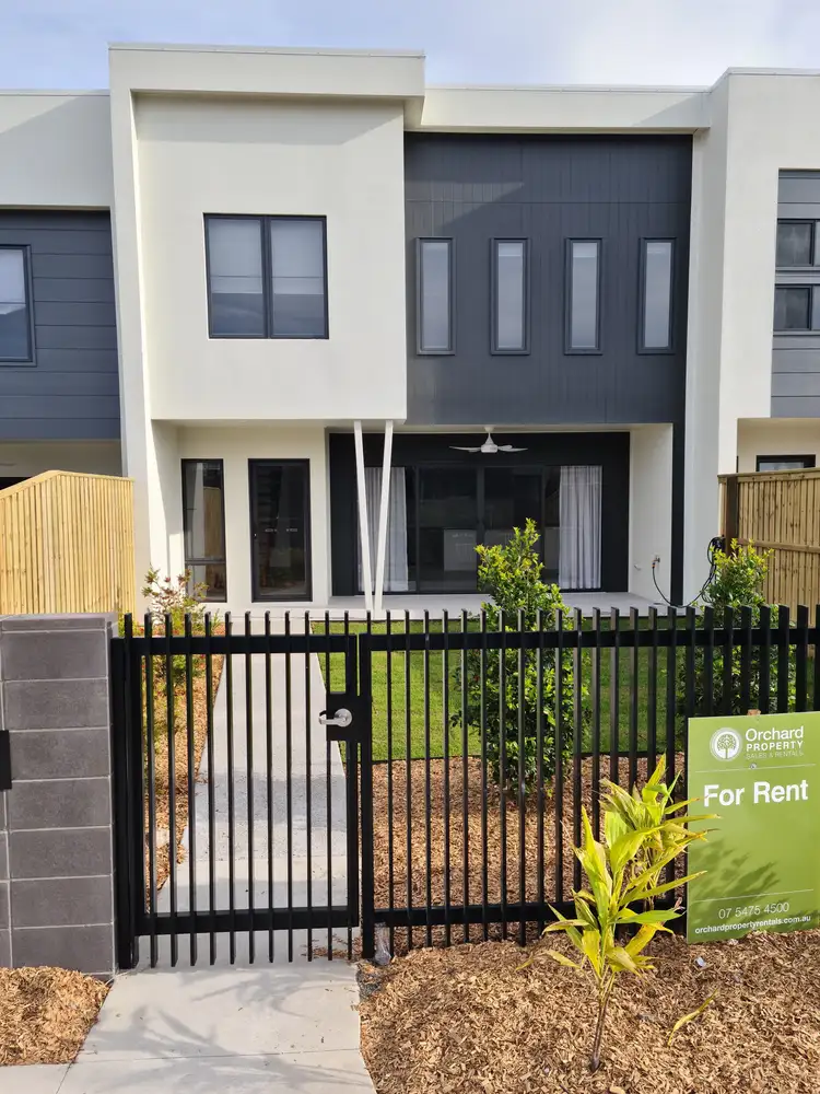 Main view of Homely terrace listing, 50 Jubilant Way, Palmview QLD 4553