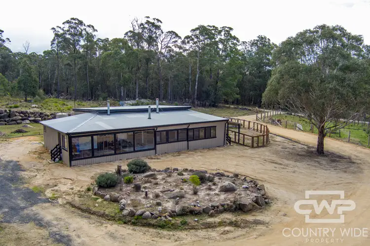 106 Warra Forest Road, Mount Mitchell NSW 2365