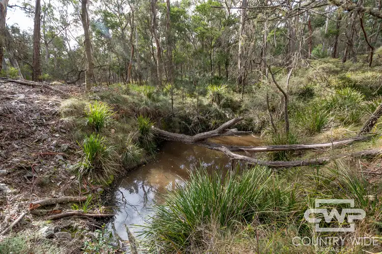 Fourth view of Homely land listing, 10 Tablelands Road, Red Range NSW 2370