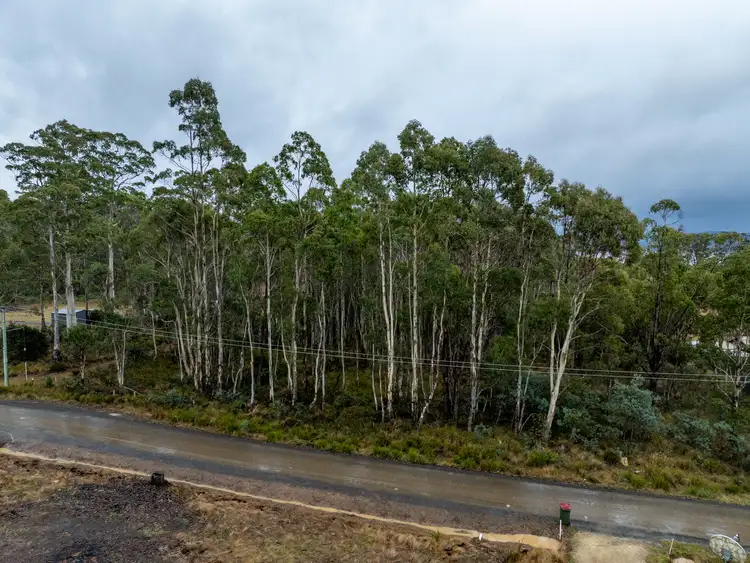 Fourth view of Homely land listing, 12 Lake View Road, Lake Leake TAS 7210