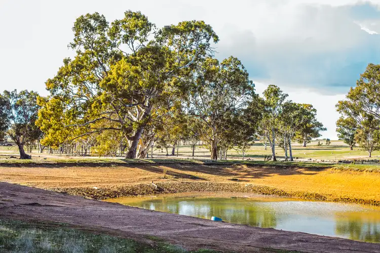 Second view of Homely rural property listing, 1918 Cavendish-Glendinning Road, Gatum VIC 3407