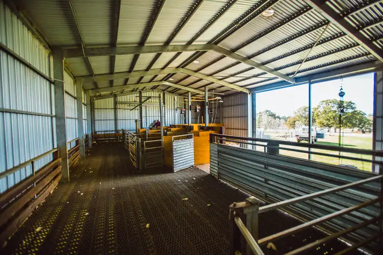 Fifth view of Homely rural property listing, 1918 Cavendish-Glendinning Road, Gatum VIC 3407