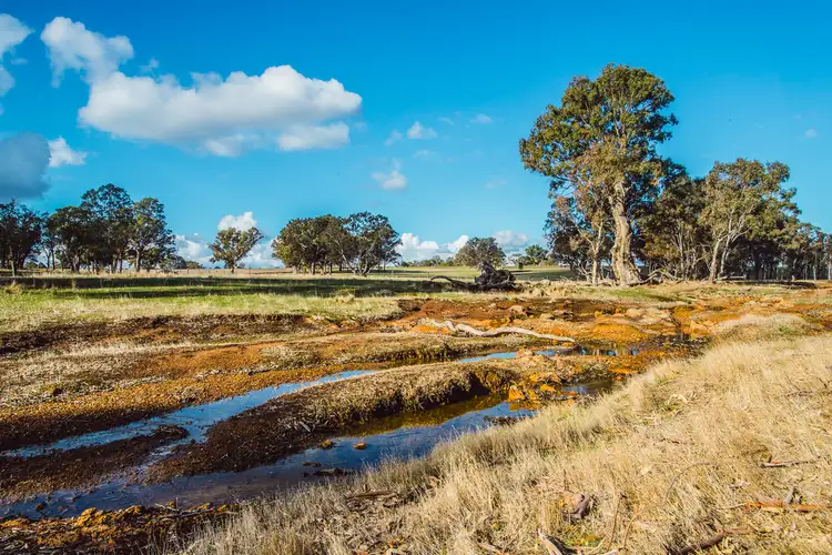 Seventh view of Homely rural property listing, 1918 Cavendish-Glendinning Road, Gatum VIC 3407