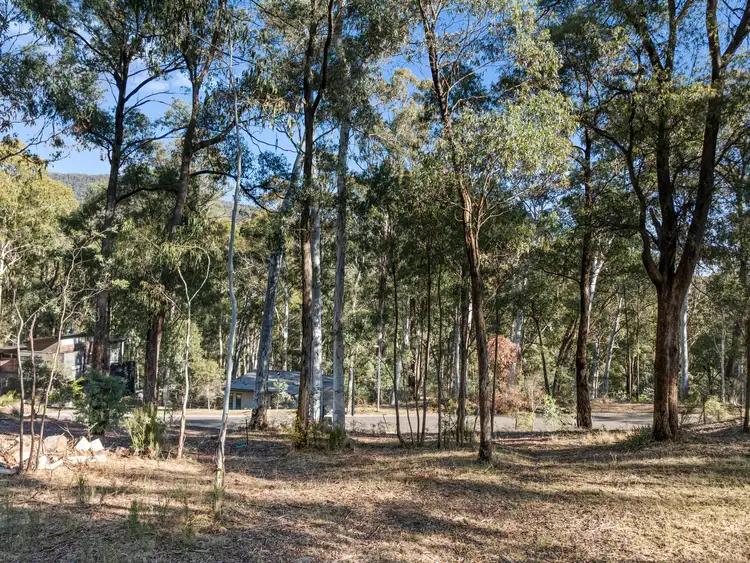 41 Christensen Street, Sawmill Settlement VIC 3723