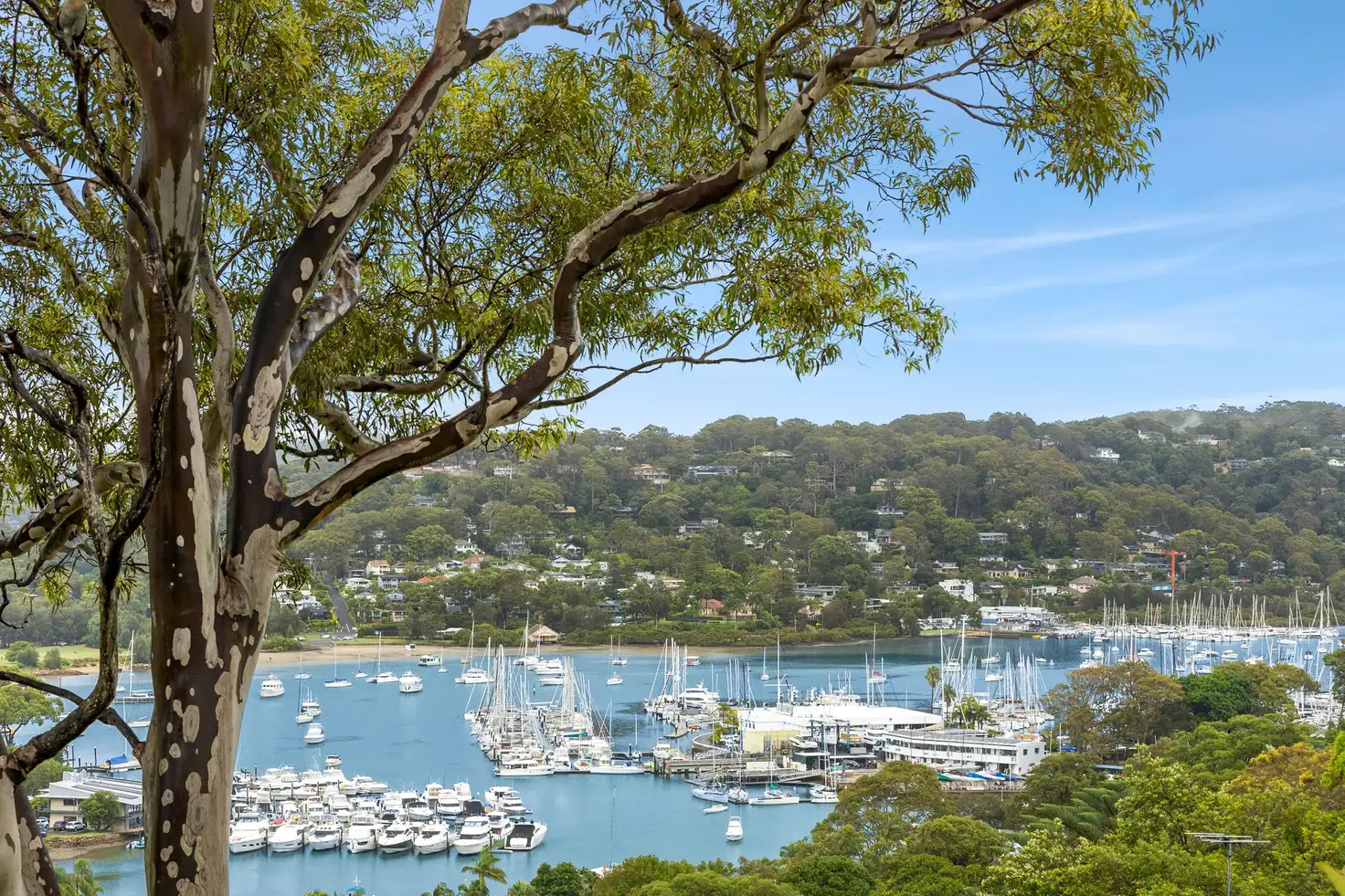 Main view of Homely house listing, 67 Wallumatta Road, Newport NSW 2106