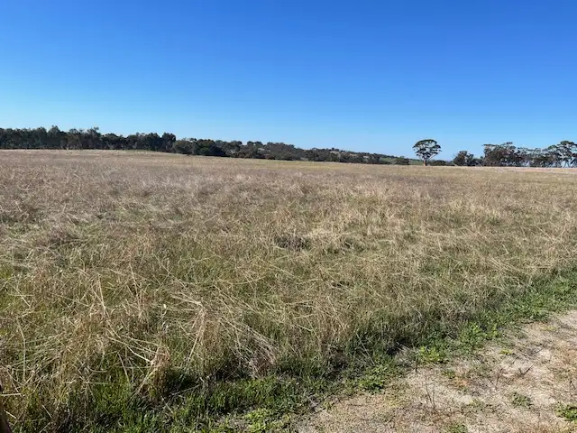 Fourth view of Homely rural property listing, Lot 1 Smith Road, Beverley WA 6304