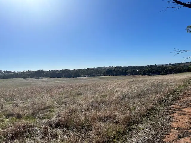Seventh view of Homely rural property listing, Lot 1 Smith Road, Beverley WA 6304