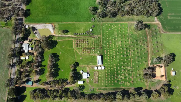 Main view of Homely rural property listing, 139 Wilson Road, Mount Barker WA 6324