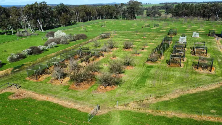 Fifth view of Homely rural property listing, 139 Wilson Road, Mount Barker WA 6324