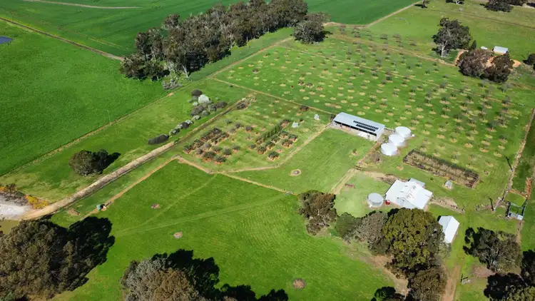 Sixth view of Homely rural property listing, 139 Wilson Road, Mount Barker WA 6324