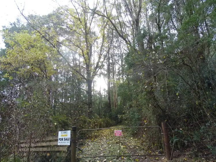 Second view of Homely rural property listing, 400 Upper Gellibrand Road, Barramunga VIC 3249