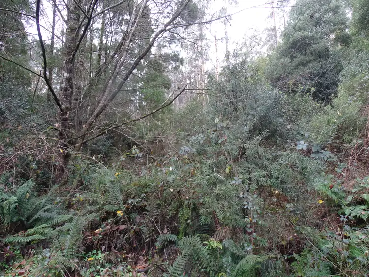 Third view of Homely rural property listing, 400 Upper Gellibrand Road, Barramunga VIC 3249