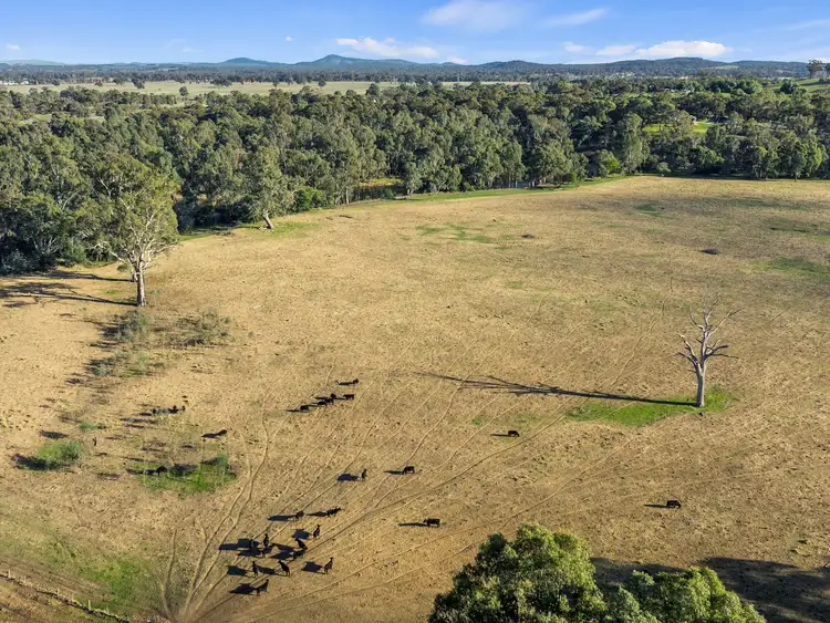 Fourth view of Homely rural property listing, 1 Tierney Street, Seymour VIC 3660