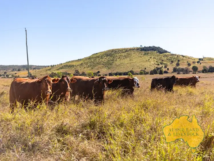 Main view of Homely rural property listing, 1278 TOP GURGEENA ROAD, Branch Creek QLD 4625