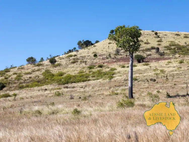 Third view of Homely rural property listing, 1278 TOP GURGEENA ROAD, Branch Creek QLD 4625