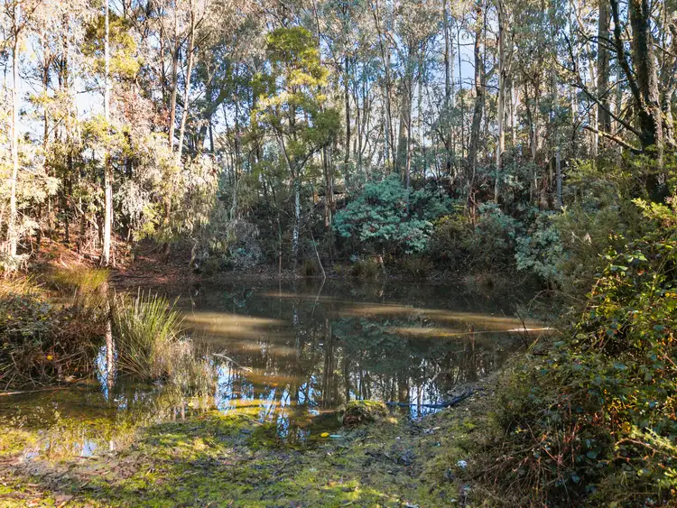 Fourth view of Homely rural property listing, Lot C Healys Lane, Archerton VIC 3723