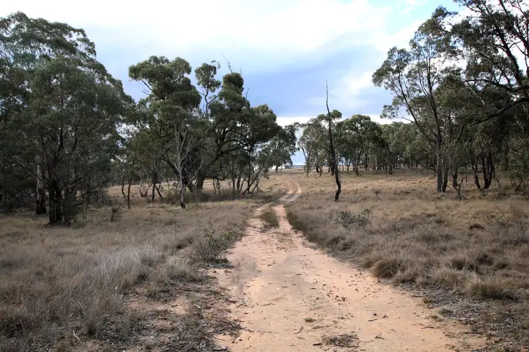 397 Rothlyn Road, Chakola NSW 2630