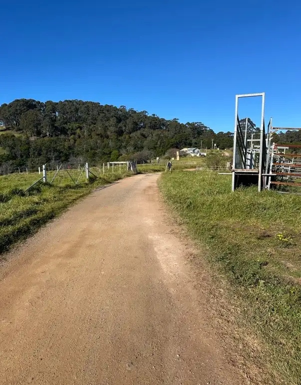 Seventh view of Homely rural property listing, Lot 193 Fourter Road, Nethercote NSW 2549