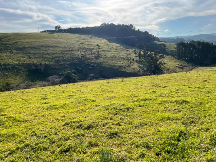 Second view of Homely rural property listing, Lot 23 Fourter Road, Nethercote NSW 2549