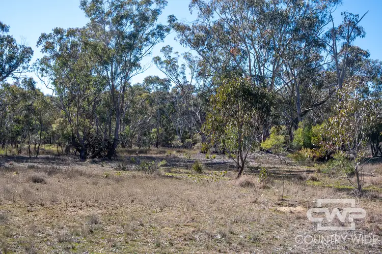 Third view of Homely land listing, 222 Strathbogie Road, Emmaville NSW 2371