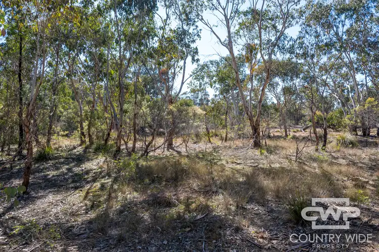 Fourth view of Homely land listing, 222 Strathbogie Road, Emmaville NSW 2371
