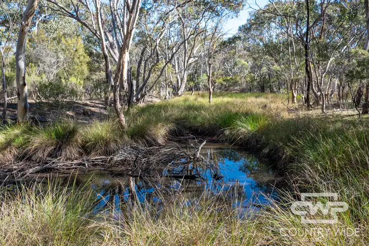 Fifth view of Homely land listing, 222 Strathbogie Road, Emmaville NSW 2371