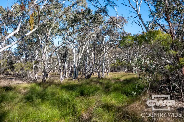 Sixth view of Homely land listing, 222 Strathbogie Road, Emmaville NSW 2371