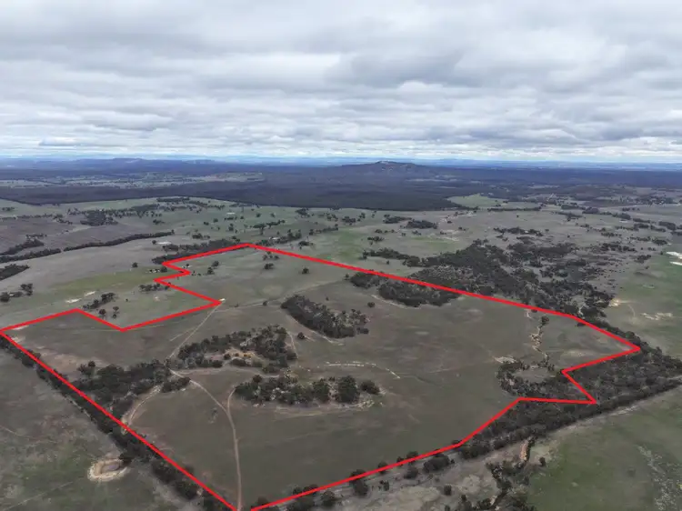 Main view of Homely rural property listing, Lot 1 Rheola - Llanelly Road, Murphys Creek VIC 3551