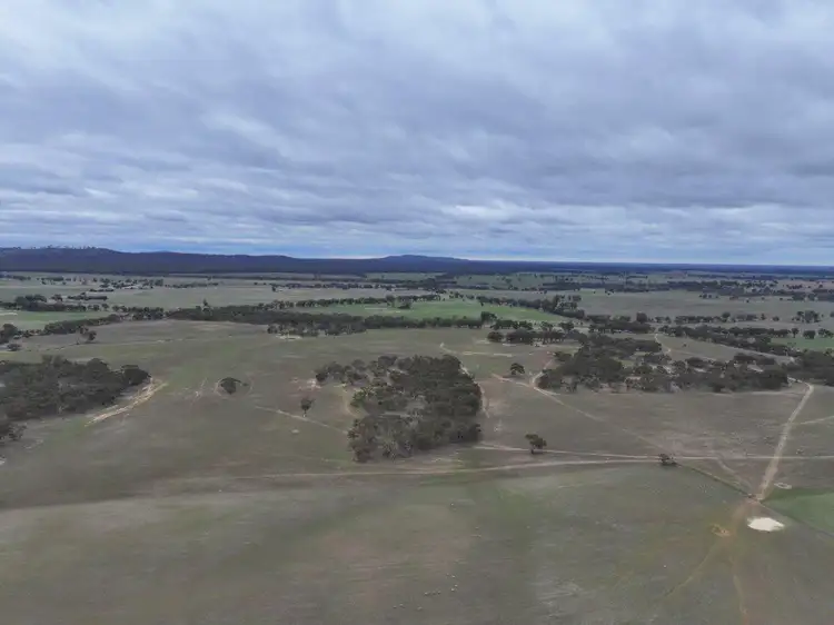 Third view of Homely rural property listing, Lot 1 Rheola - Llanelly Road, Murphys Creek VIC 3551