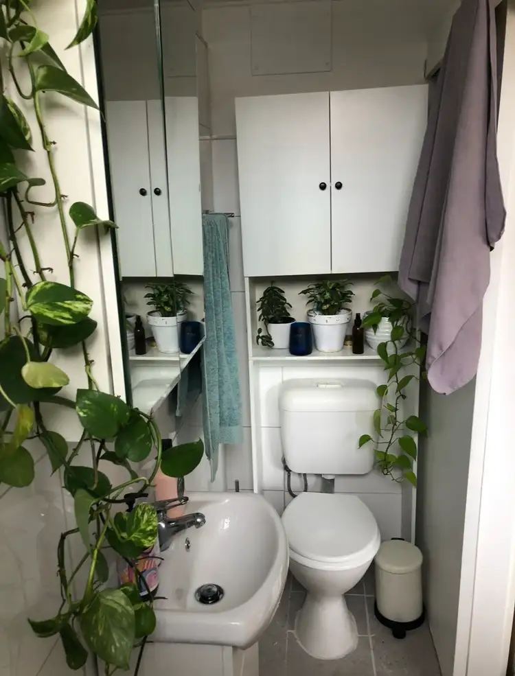Third view of Homely apartment listing, 3/140 Macpherson Street, Bronte NSW 2024