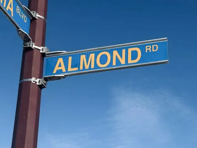 Third view of Homely land listing, LOT 119 Almond Street, Southern River WA 6110