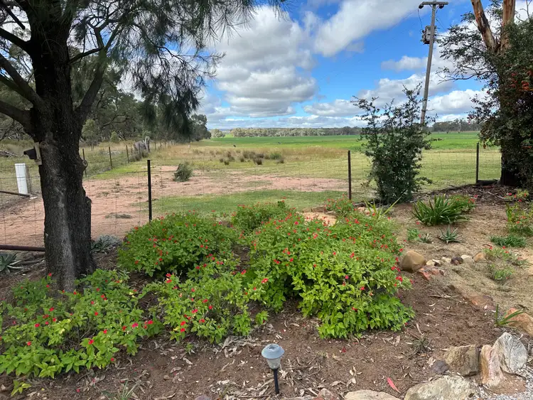 Sixth view of Homely house listing, Bradview/1009 Warrumbungles Way, Coolah NSW 2843
