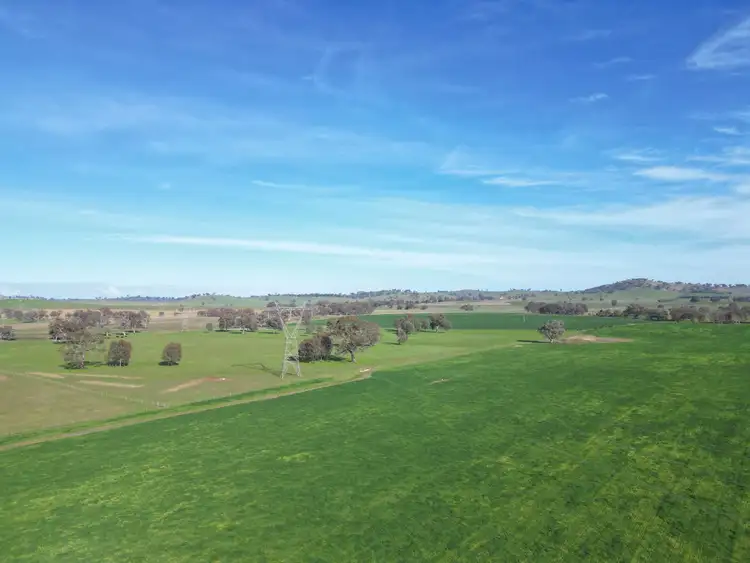 Third view of Homely rural property listing, 'Willowbank' Urana Road, Jindera NSW 2642