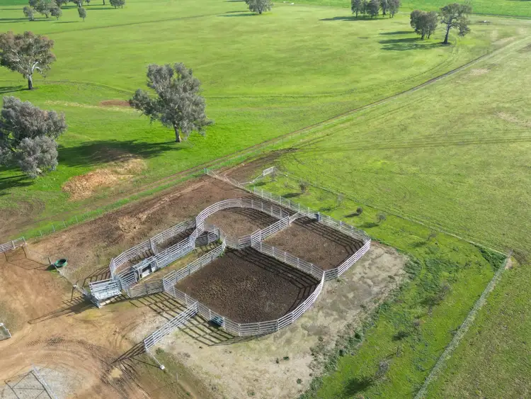Fourth view of Homely rural property listing, 'Willowbank' Urana Road, Jindera NSW 2642