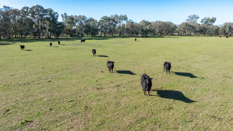 Fifth view of Homely rural property listing, 'Willowbank' Urana Road, Jindera NSW 2642