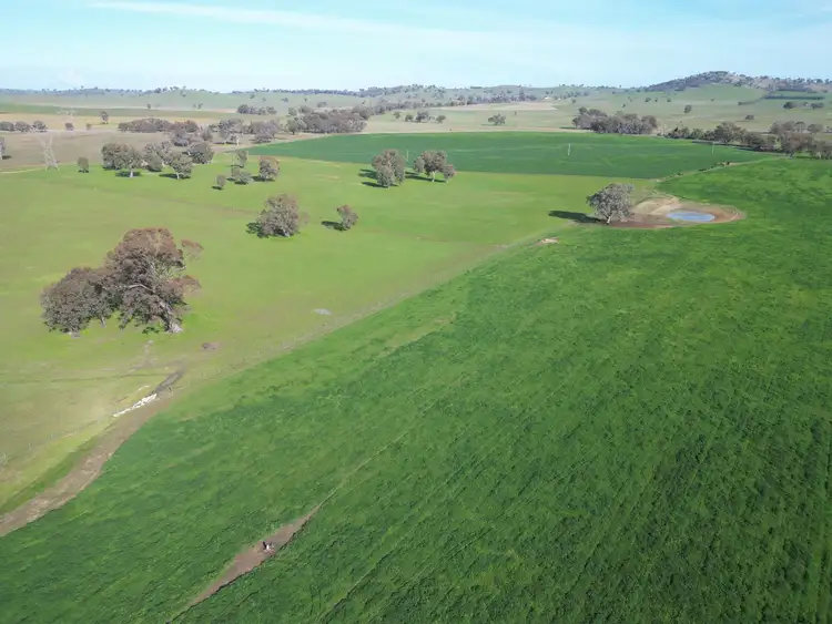 Sixth view of Homely rural property listing, 'Willowbank' Urana Road, Jindera NSW 2642