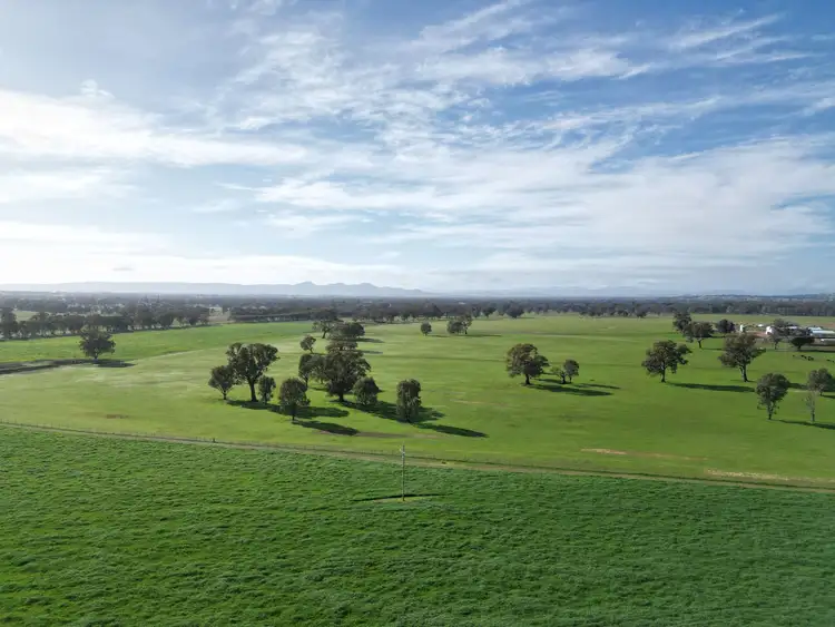Seventh view of Homely rural property listing, 'Willowbank' Urana Road, Jindera NSW 2642